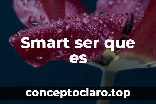 Smart ser que es