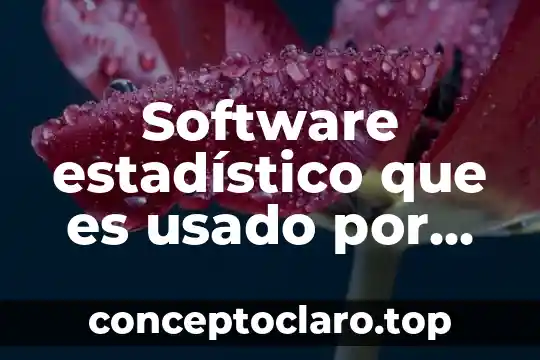 Que es factores comercial en las empresas 8 Software estadístico que es usado por las empresas