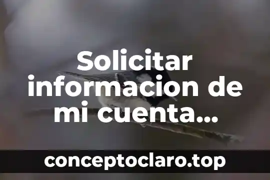 Información sobre la resonancia magnética que es 3 Solicitar informacion de mi cuenta whatsapp que es