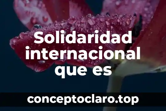 Que es internacionalizacion internacional 5 Solidaridad internacional que es