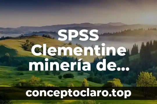 SPSS Clementine minería de datos que es