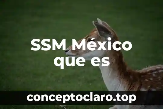 SSM México que es