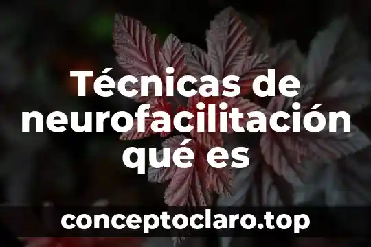 Técnicas de autocontrol que es 4 Técnicas de neurofacilitación qué es