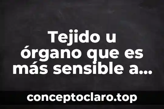 Tejido u órgano que es más sensible a la radiación