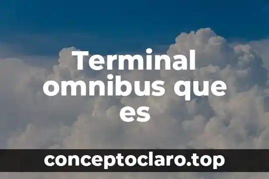 Que es ser de pumas 8 Terminal omnibus que es