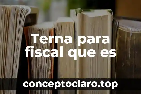 Terna para fiscal que es