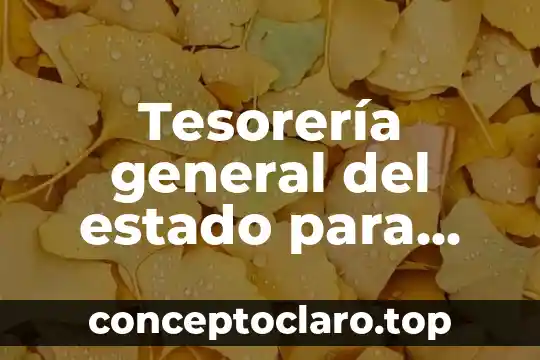 Tesorería general del estado para que es