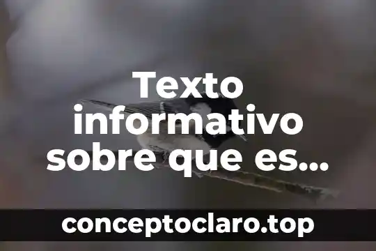 Texto informativo sobre que es un conflicto