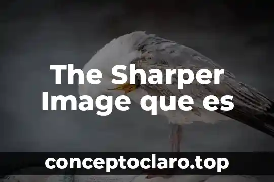 The Sharper Image que es