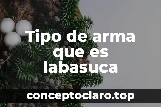 Tipo de arma que es labasuca