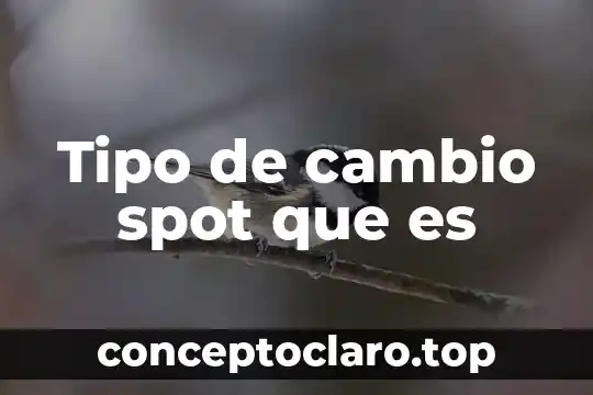 Tipo de cambio spot que es