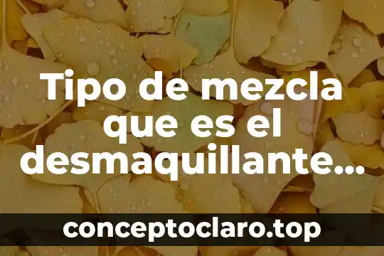 Que es sesa y que tipo de servicios brinda 6 Tipo de mezcla que es el desmaquillante homogénea o heterogéneas
