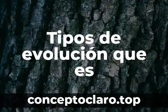 Tipos de evolución que es