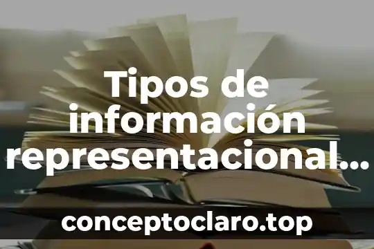 Tipos de información representacional que es
