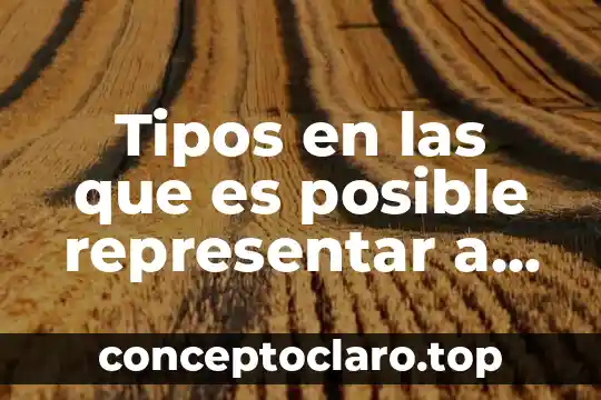 Tipos en las que es posible representar a la razón