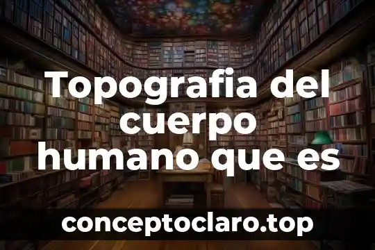 Topografia del cuerpo humano que es