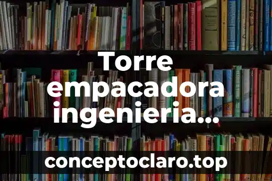 Torre empacadora ingenieria quimica que es