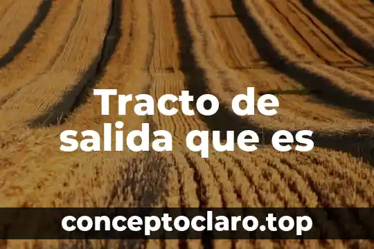 Innovaciones técnicas en periféricos de entrada y salida que es 3 Tracto de salida que es