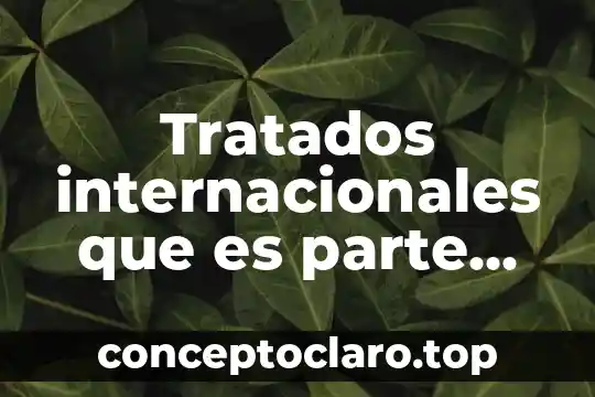 Que es la ley de celebracion de tratados 5 Tratados internacionales que es parte mexico