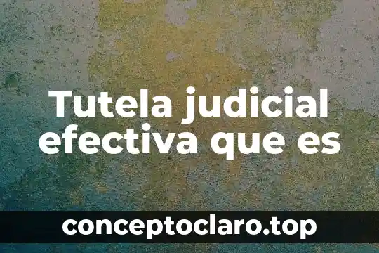 Tutela judicial efectiva que es