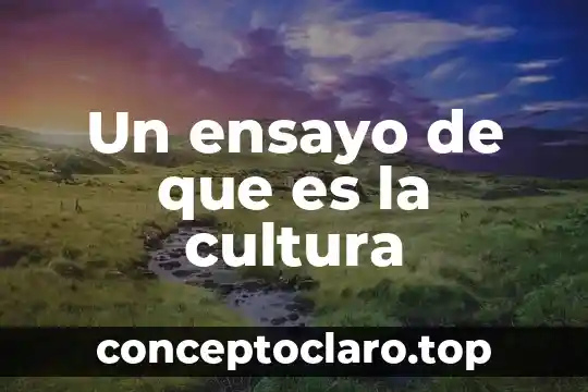 Qué es un ensayo y qué tipos de ensayos existen 4 Un ensayo de que es la cultura
