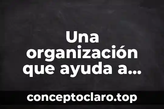Que es los doctores de los niños 3 Una organización que ayuda a niños que es