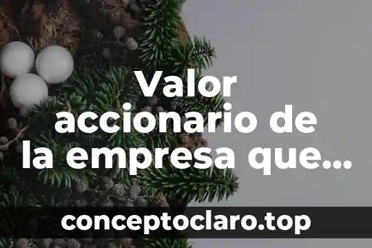 Que es el valor del dinero economia 8 Valor accionario de la empresa que es