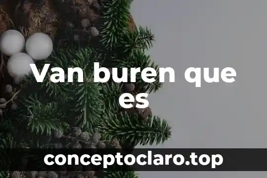 Que es el van y el tir definicion 4 Van buren que es