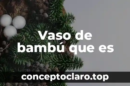Para que es el vaso de agua 3 Vaso de bambú que es
