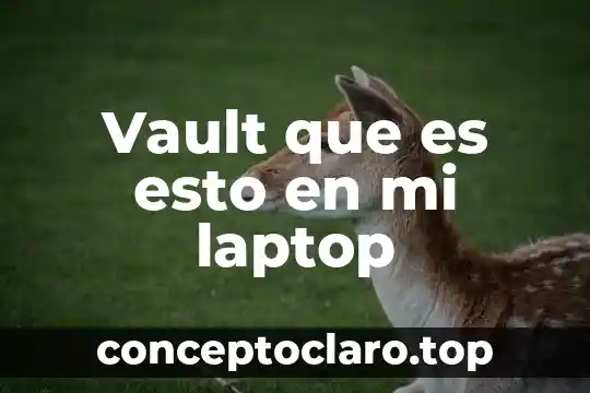 Vault que es esto en mi laptop