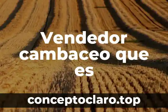 Vendedor cambaceo que es