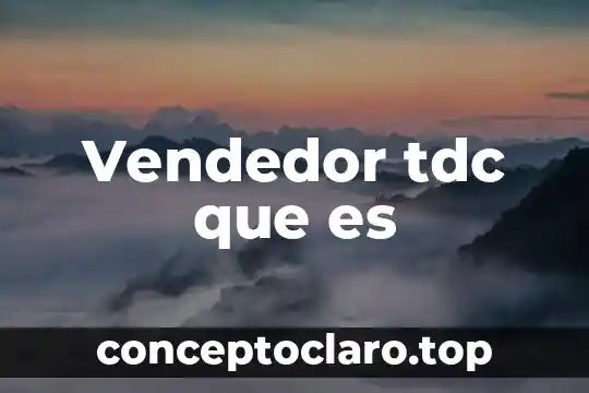 Vendedor tdc que es