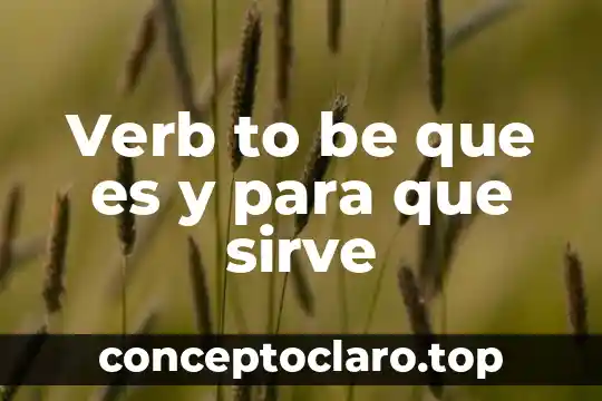 To dolo que es riquesa natural 3 Verb to be que es y para que sirve