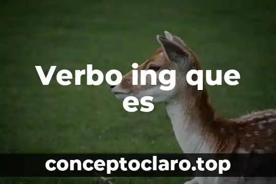 Que es ser latino en verbo pervetido 8 Verbo ing que es