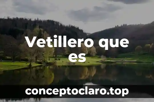 Vetillero que es