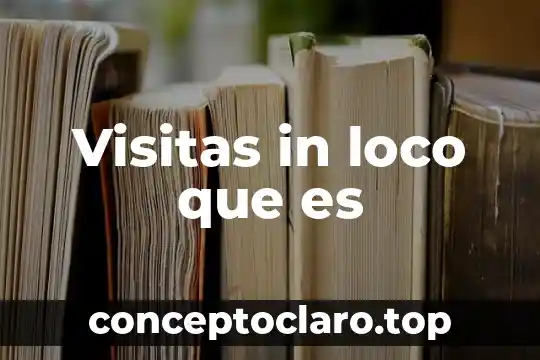 Visitas in loco que es