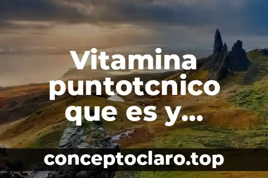 Vitamina puntotcnico que es y funcion