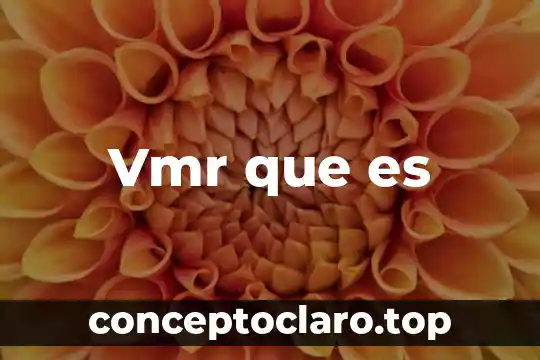 Vmr que es