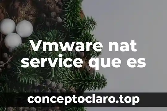 Vmware nat service que es