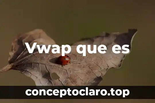 Que es ser malcriada 8 Vwap que es