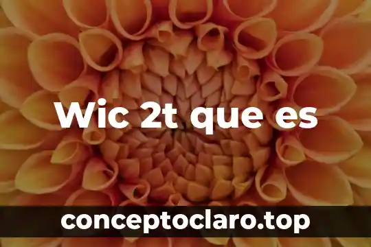 Wic 2t que es
