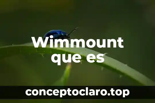 Alola form que es 6 Wimmount que es
