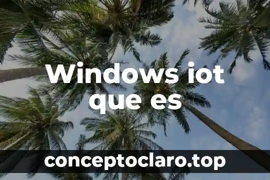 Qué es un sistema operativo Windows XP 3 Windows iot que es