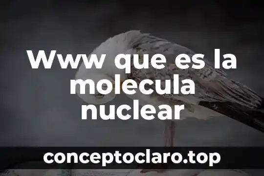 Www que es la molecula nuclear