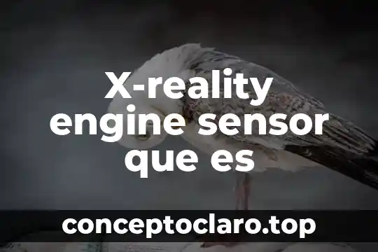 Que es el snit en arquitectura 3 X-reality engine sensor que es