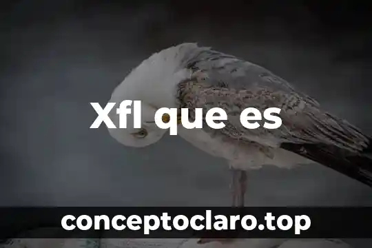 Vartalon compuesto para que es 8 Xfl que es