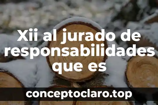 Por que es bueno que las personas asuman sus responsabilidades 4 Xii al jurado de responsabilidades que es