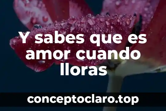 Que es el amor redalyc 7 Y sabes que es amor cuando lloras