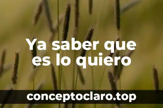 Operador de carga que es lo que quiero como empresa 4 Ya saber que es lo quiero