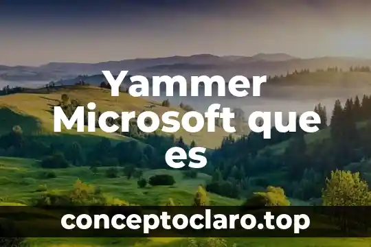Wimmount que es 3 Yammer Microsoft que es